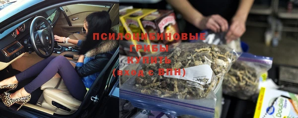 дживик Алексеевка